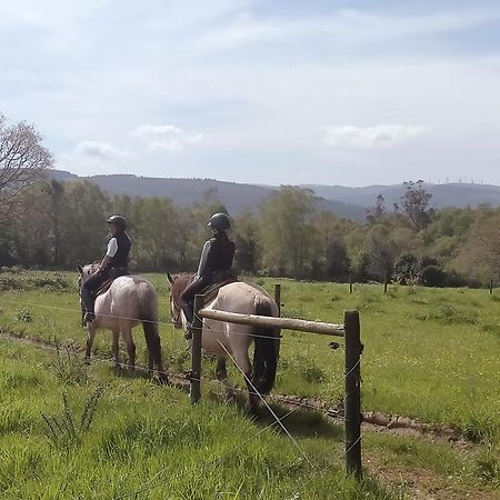 Granja Labrada: Alojamiento Con Caballos Manon Extérieur photo