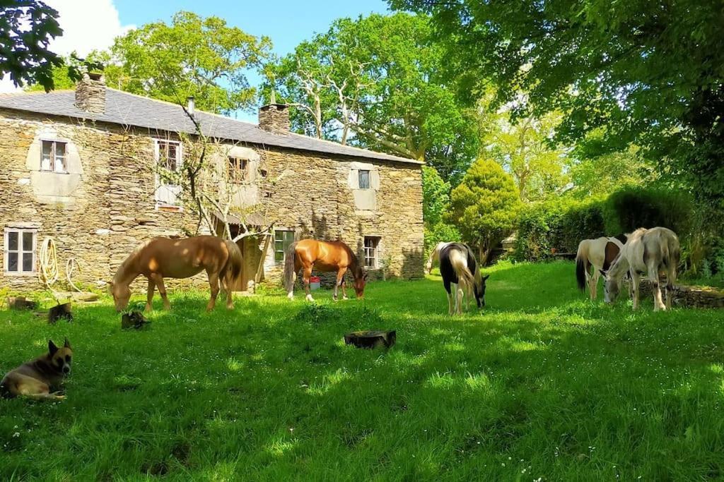 Granja Labrada: Alojamiento Con Caballos Manon Extérieur photo