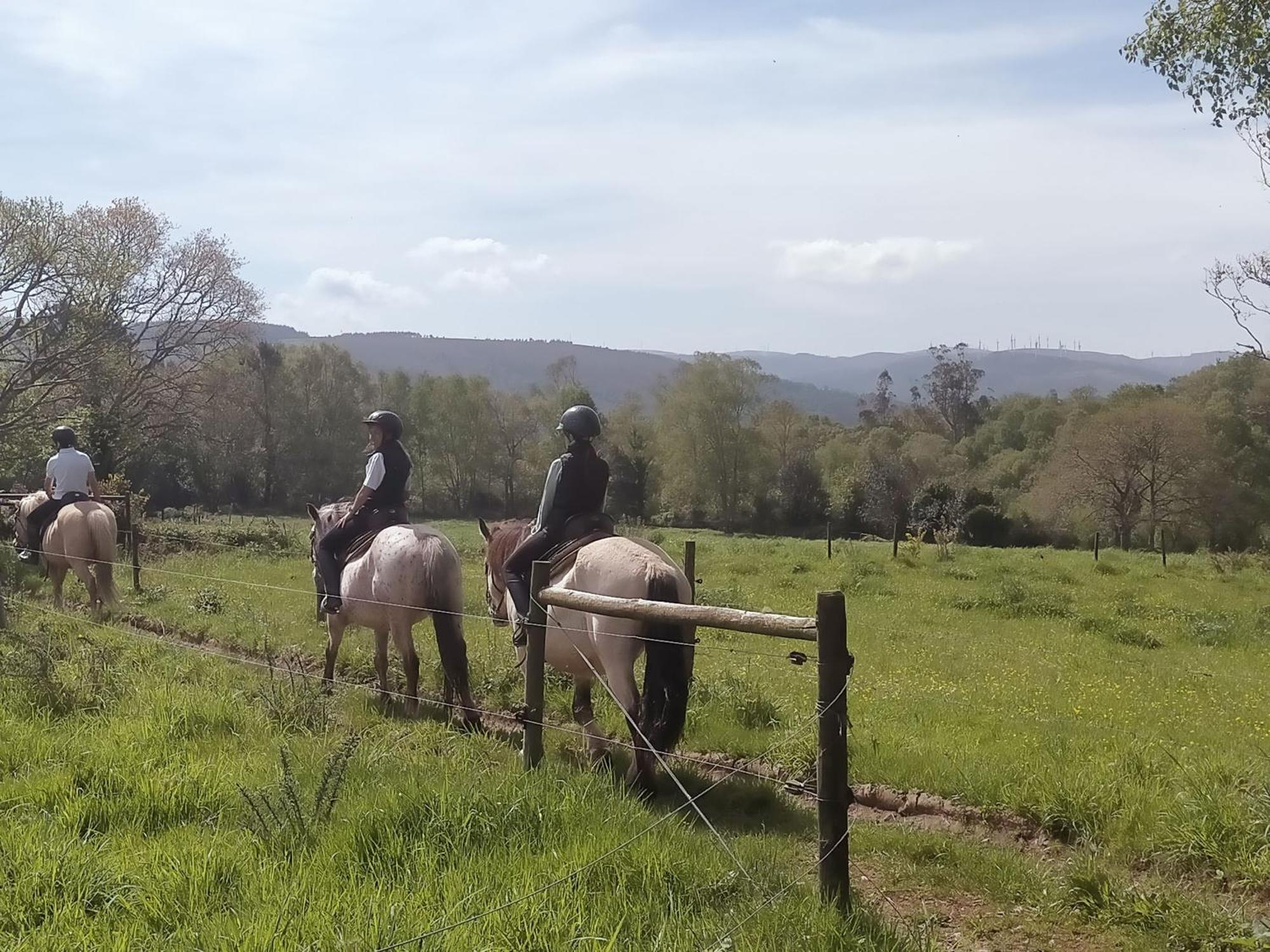 Granja Labrada: Alojamiento Con Caballos Manon Extérieur photo