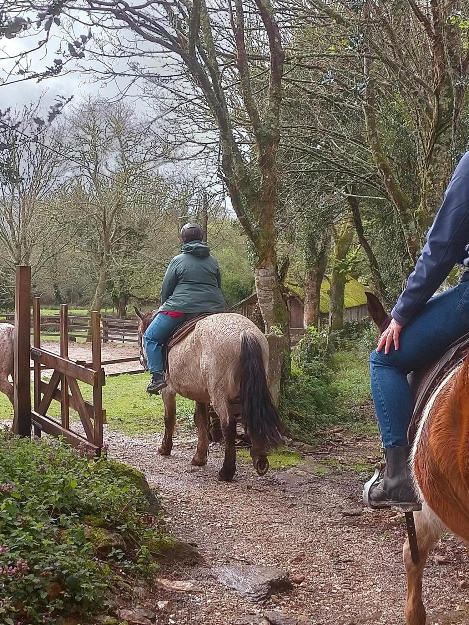 Granja Labrada: Alojamiento Con Caballos Manon Extérieur photo